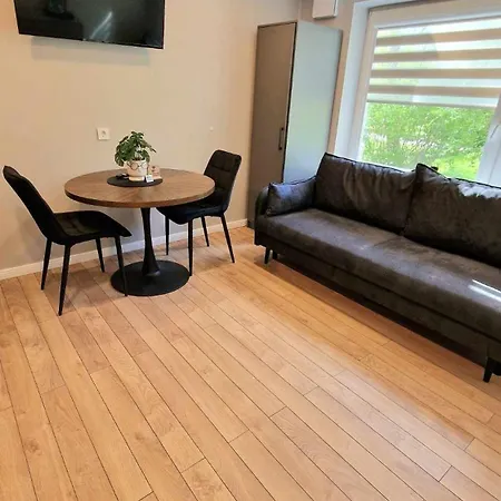 Trumpalaike Butu Nuoma Kaune Prie Kliniku Studija B Self Check In Apartamento Kaunas