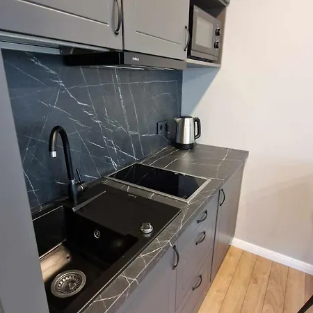 Apartamento Trumpalaike Butu Nuoma Kaune Prie Kliniku Studija B Self Check In *