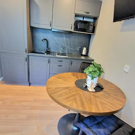 Trumpalaike Butu Nuoma Kaune Prie Kliniku Studija B Self Check In *