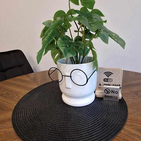 Trumpalaike Butu Nuoma Kaune Prie Kliniku Studija B Self Check In Apartamento