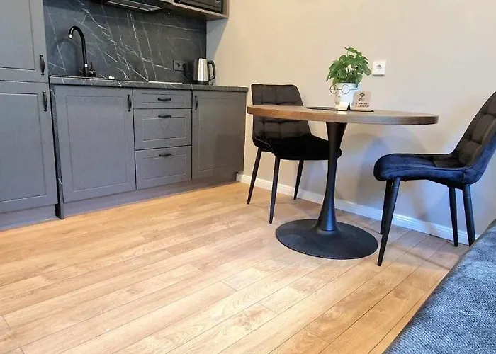 Apartamento Trumpalaike Butu Nuoma Kaune Prie Kliniku Studija B Self Check In Kaunas