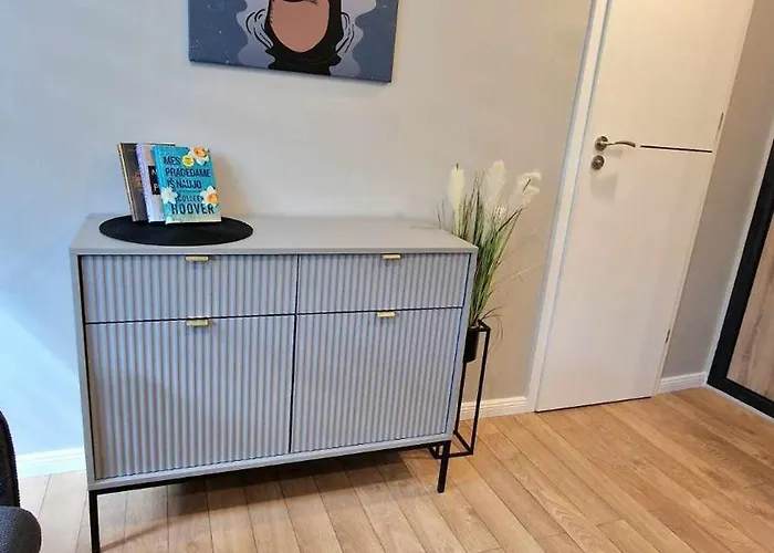 Trumpalaike Butu Nuoma Kaune Prie Kliniku Studija B Self Check In Apartamento *