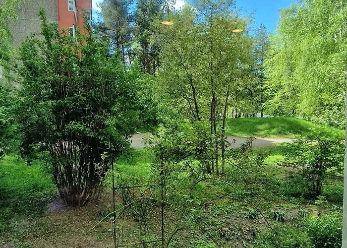 Apartamento Trumpalaike Butu Nuoma Kaune Prie Kliniku Studija B Self Check In Kaunas